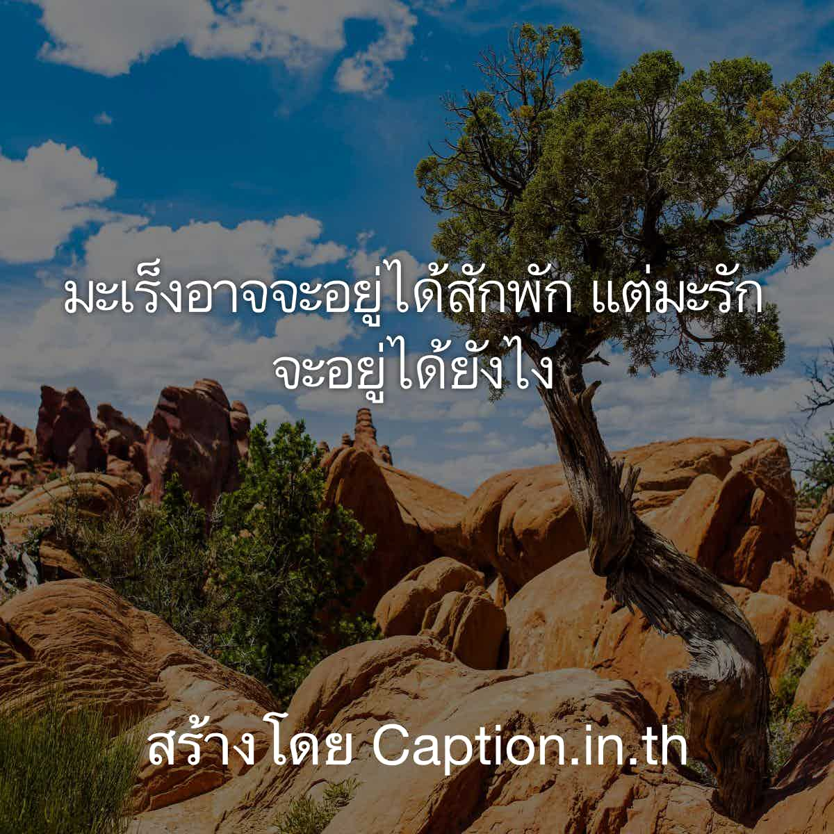 คําคมอ่อย