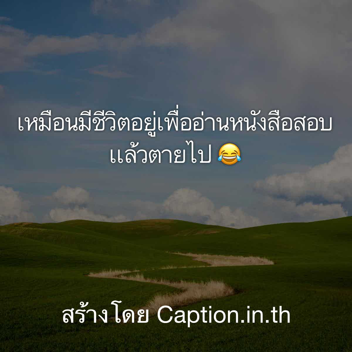 นิติเสี่ยว