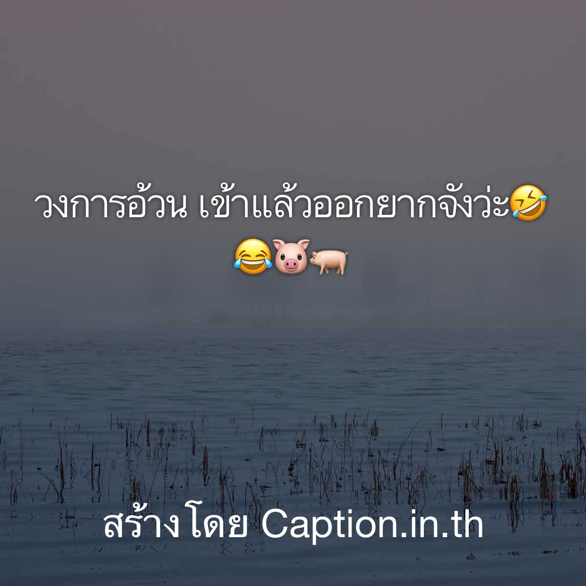 ลดน้ำหนัก